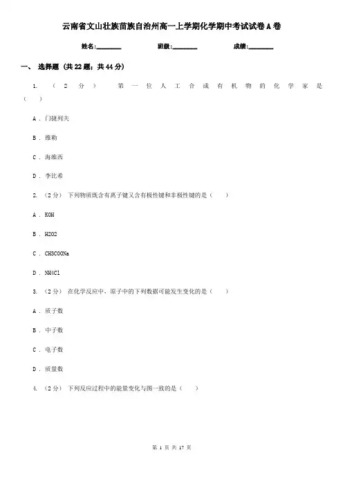 云南省文山壮族苗族自治州高一上学期化学期中考试试卷A卷