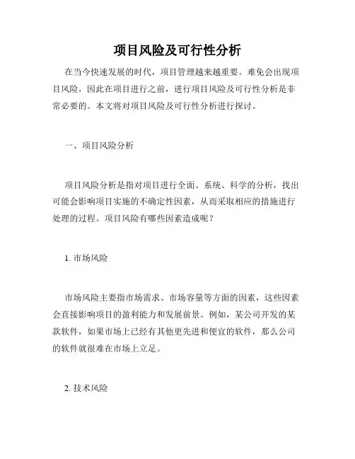 项目风险及可行性分析