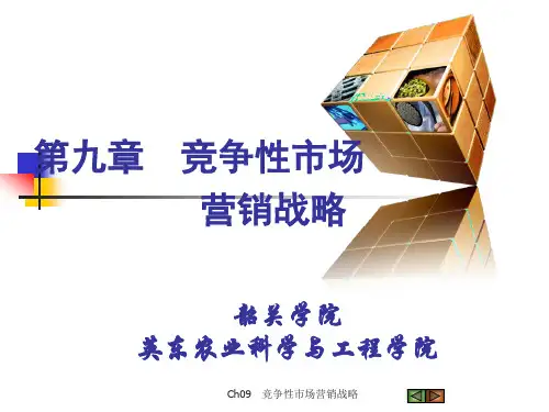 竞争性市场营销战略