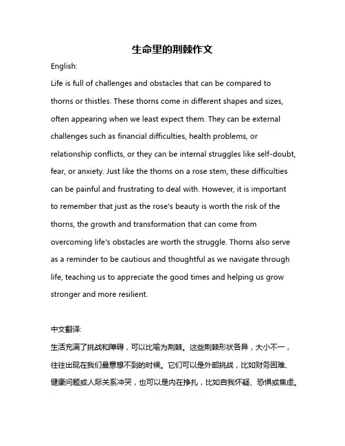 生命里的荆棘作文