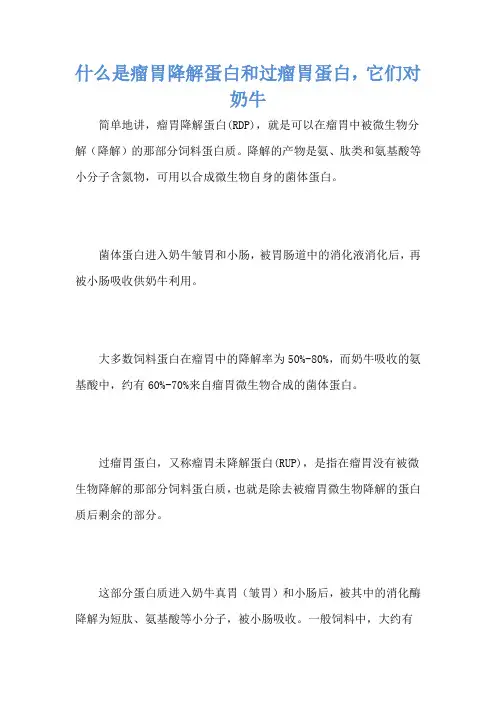 什么是瘤胃降解蛋白和过瘤胃蛋白,它们对奶牛