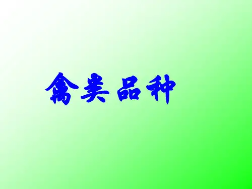 禽类品种(免费)