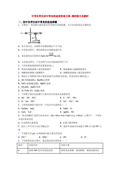 中考化学生活中常见的盐培优复习课 课时练习及解析