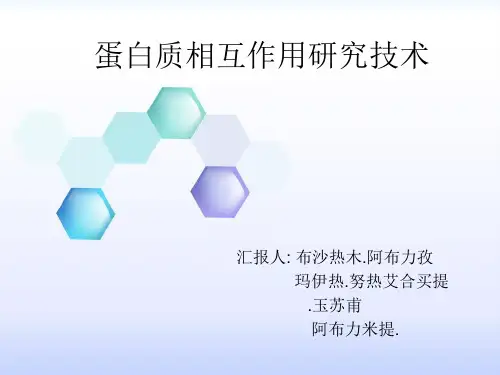 蛋白质相互作用技术研究的几种技术