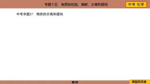 2024年中考化学总复习专题十五物质的检验、推断、分离和提纯中考命题37物质的分离和提纯