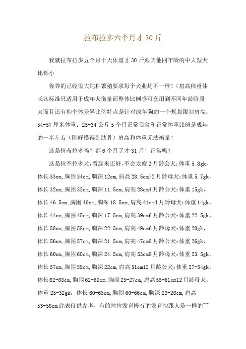 拉布拉多六个月才30斤
