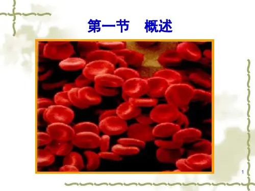 生理学血液生理PPT课件