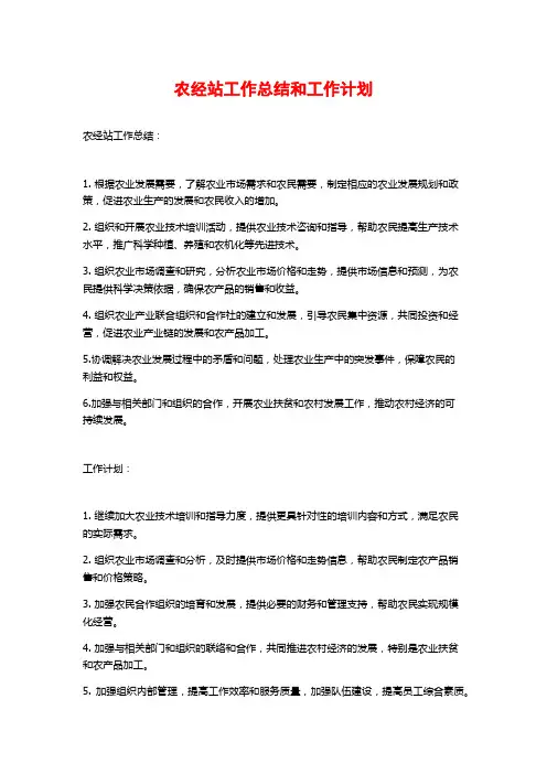 农经站工作总结和工作计划
