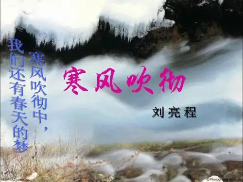 寒风吹彻