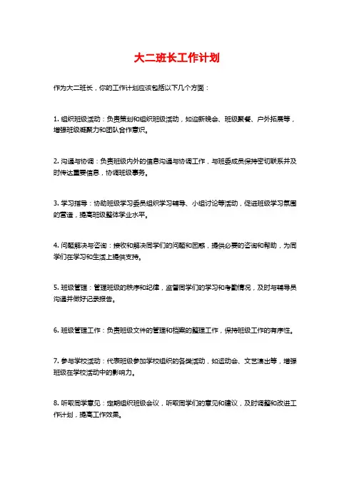 大二班长工作计划