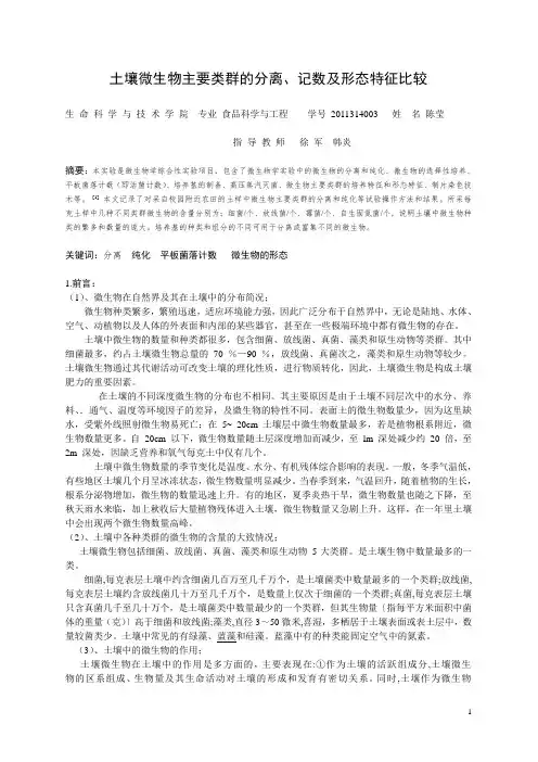 土壤微生物主要类群的分离、记数及形态特征比较