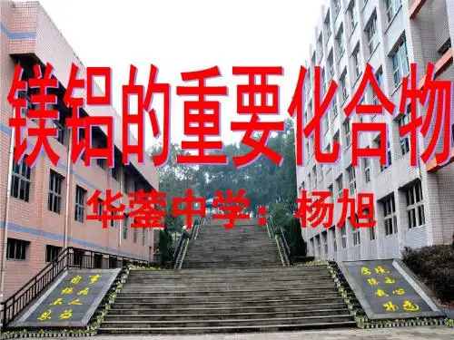 高一镁铝重要化合物