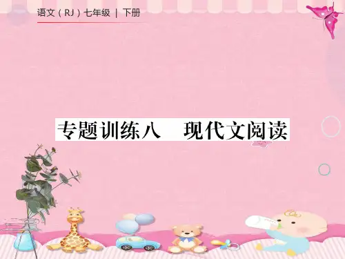 专题训练八 现代文阅读PPT课件