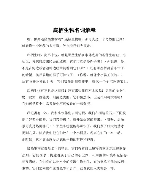 底栖生物名词解释