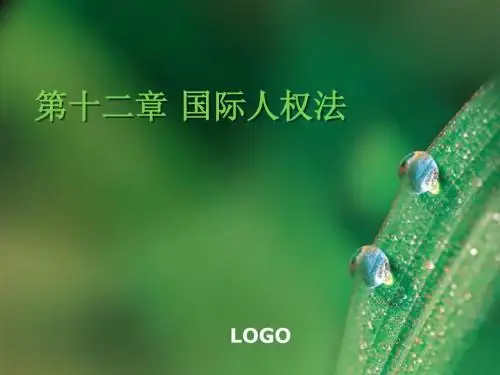 第十二章 国际人权