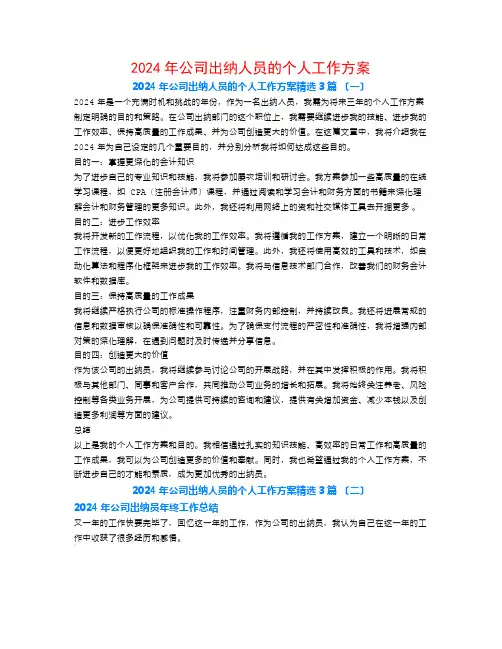 2024年公司出纳人员的个人工作计划3篇