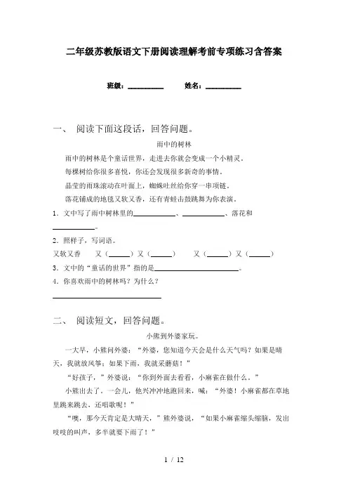 二年级苏教版语文下册阅读理解考前专项练习含答案