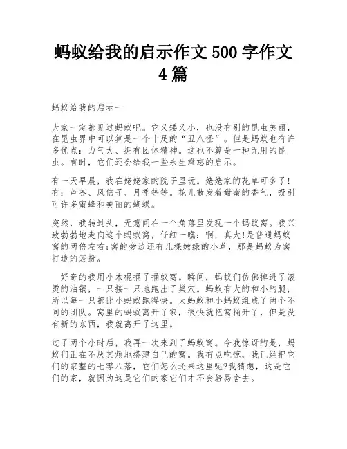 蚂蚁给我的启示作文500字作文4篇