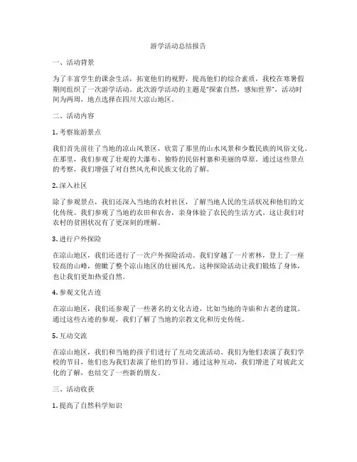 游学活动总结报告