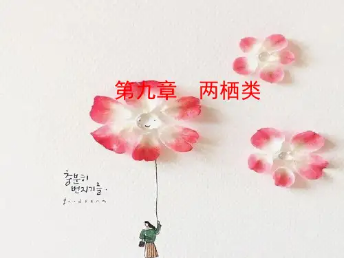青蛙PPT精品课件