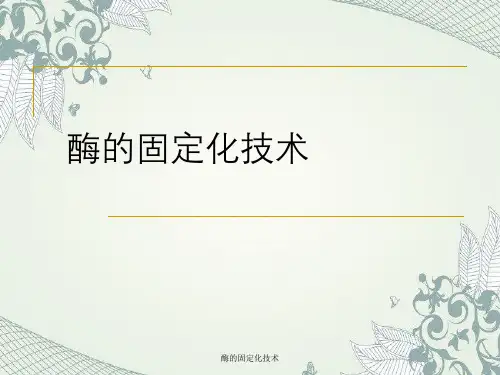 酶的固定化技术