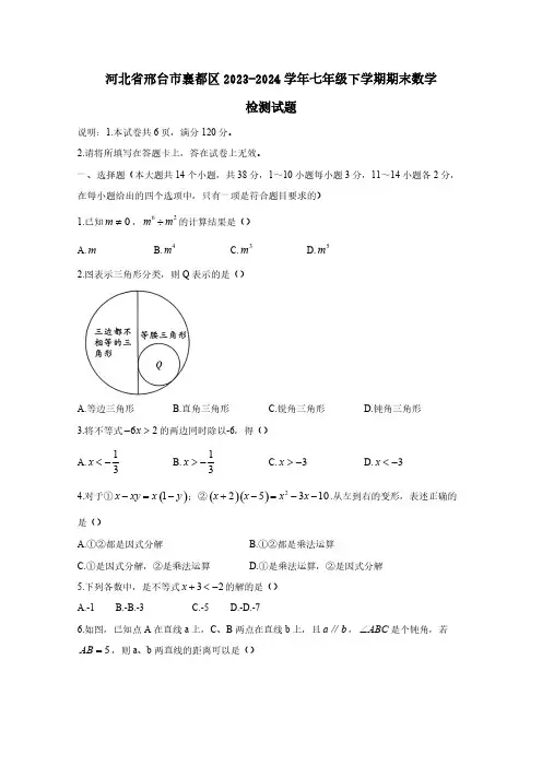 河北省邢台市襄都区2023-2024学年七年级下册期末数学检测试题(含答案)