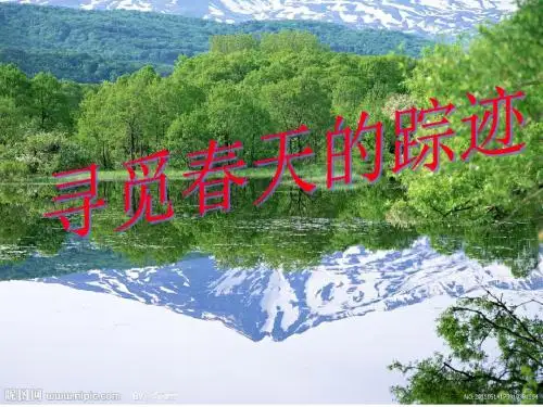 寻觅春天的踪迹课件