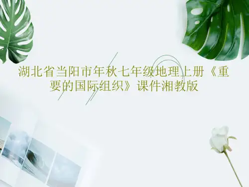 湖北省当阳市年秋七年级地理上册《重要的国际组织》课件湘教版PPT共15页