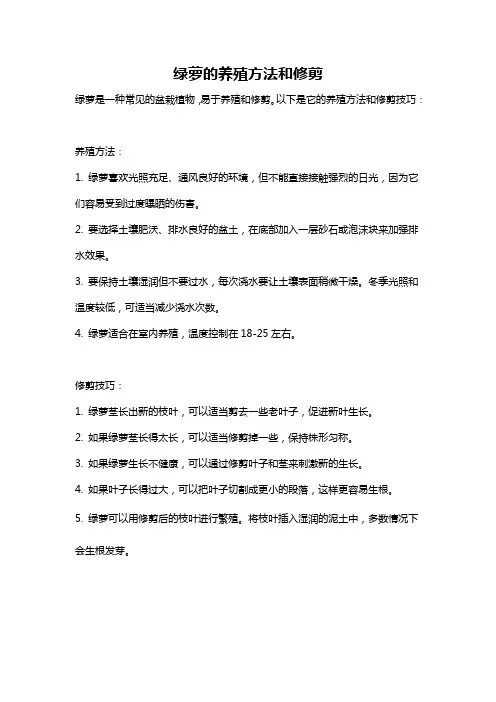 绿萝的养殖方法和修剪