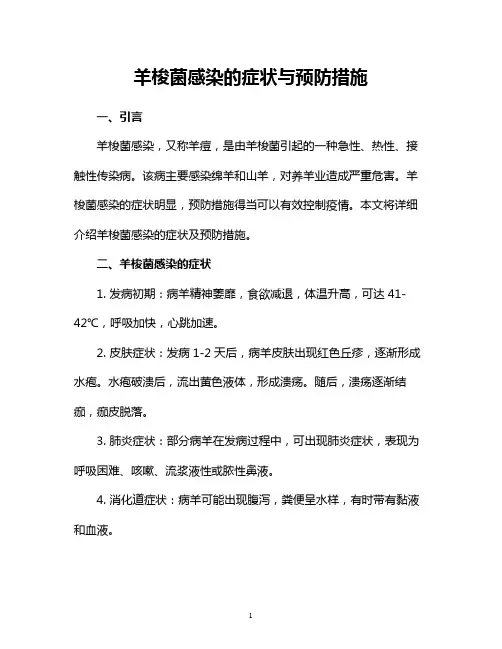 羊梭菌感染的症状与预防措施