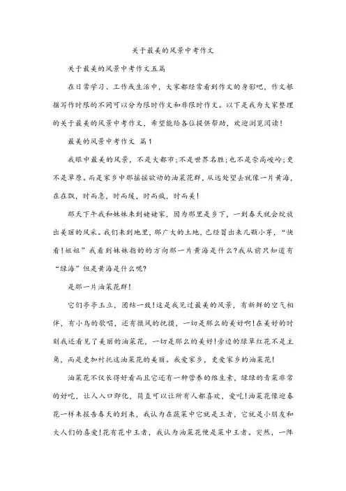 关于最美的风景中考作文