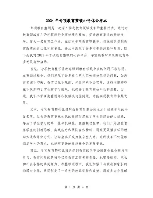 2024年专项教育整顿心得体会样本(2篇)