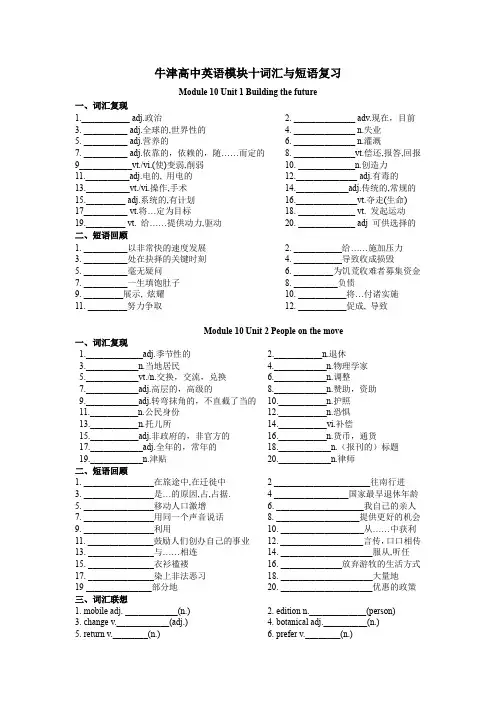 牛津高中英语模块十与模块十一词汇与短语复习