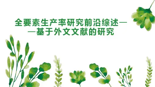 全要素生产率研究前沿综述基于外文文献的研究