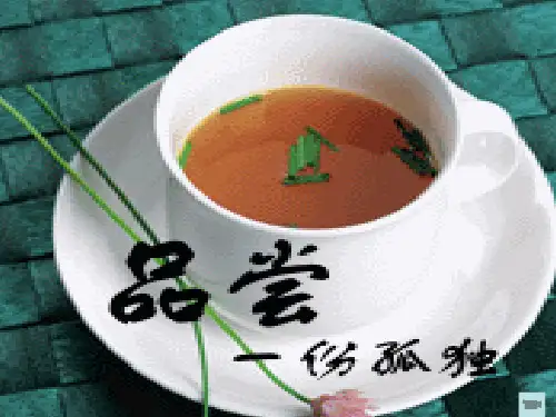 优质课一等奖1·《孤独之旅》ppt课件