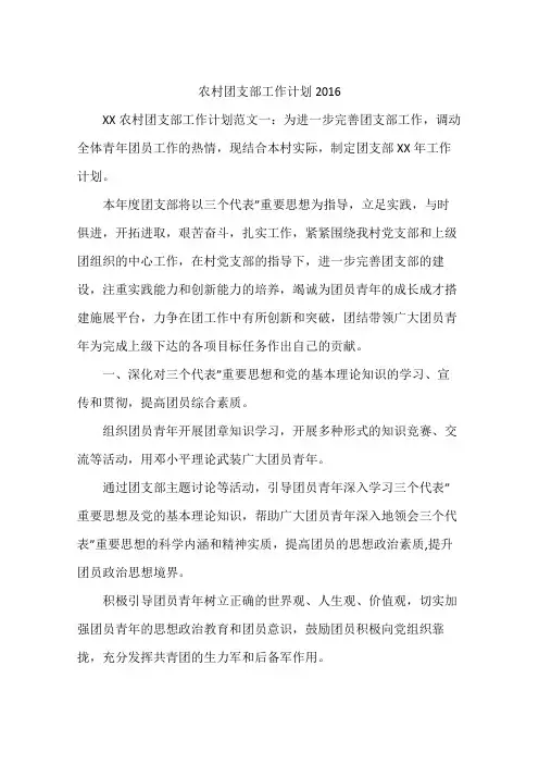 农村团支部工作计划2016