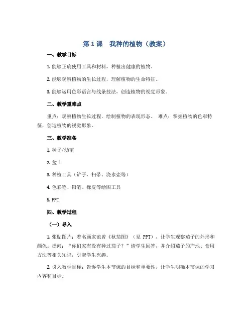 第1课 我种的植物(教案)2022-2023学年美术六年级上册