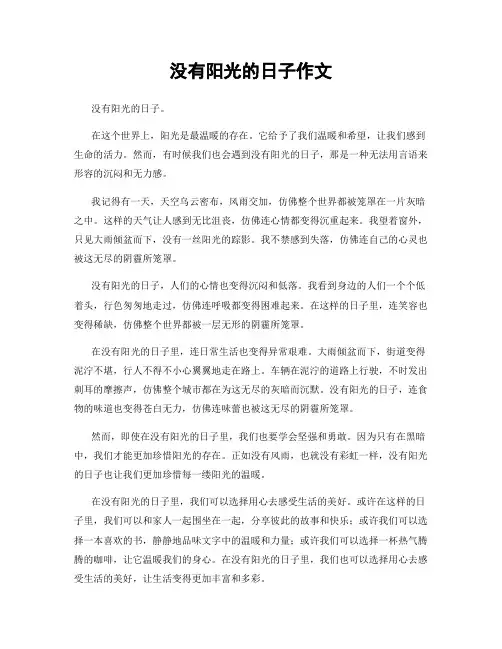 没有阳光的日子作文