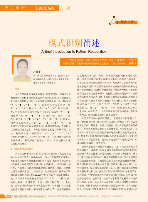 模式识别简述_严红平