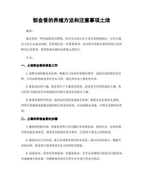 郁金香的养殖方法和注意事项土培