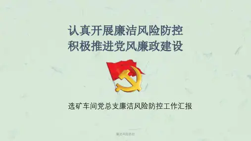 廉洁风险防控课件