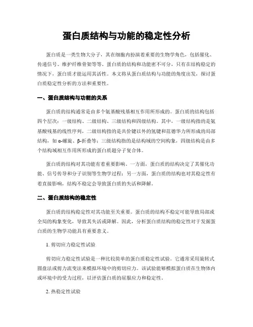 蛋白质结构与功能的稳定性分析