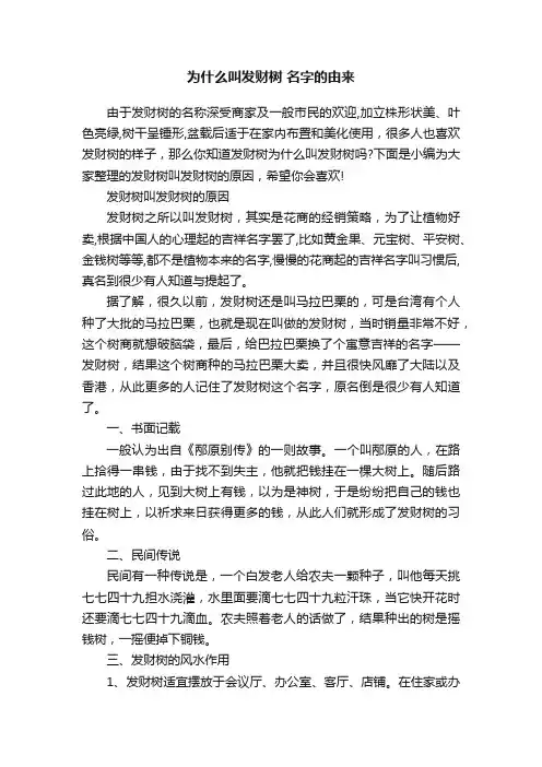 为什么叫发财树名字的由来