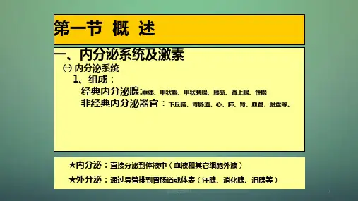 内分泌系统概述ppt课件