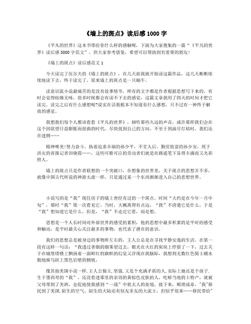 《墙上的斑点》读后感1000字
