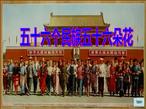五十六个民族五十六朵花 ppt课件