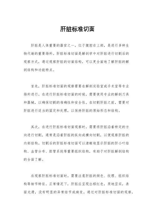 肝脏标准切面