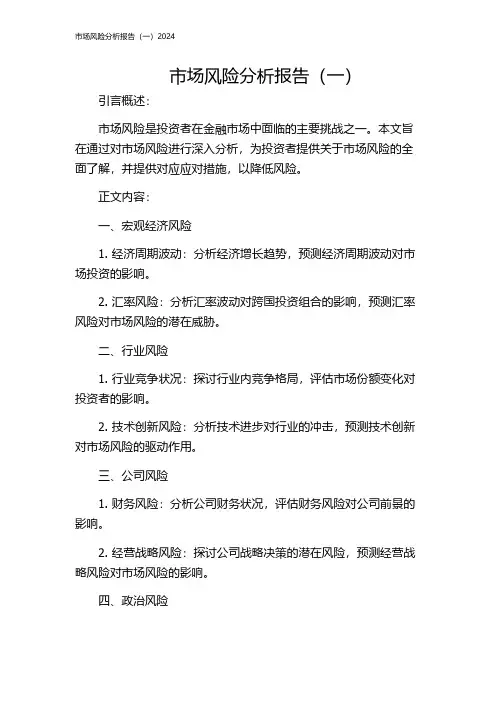 市场风险分析报告(一)2024