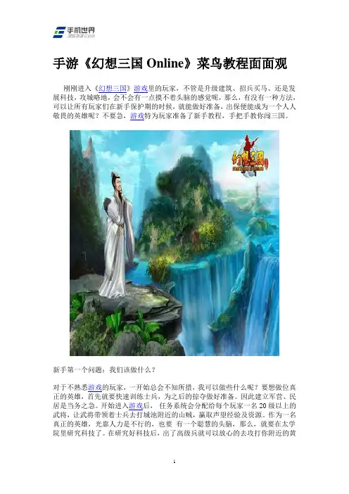 手游《幻想三国Online》菜鸟教程面面观