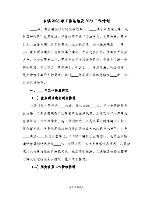 乡镇2023年工作总结及2023工作计划(2篇)